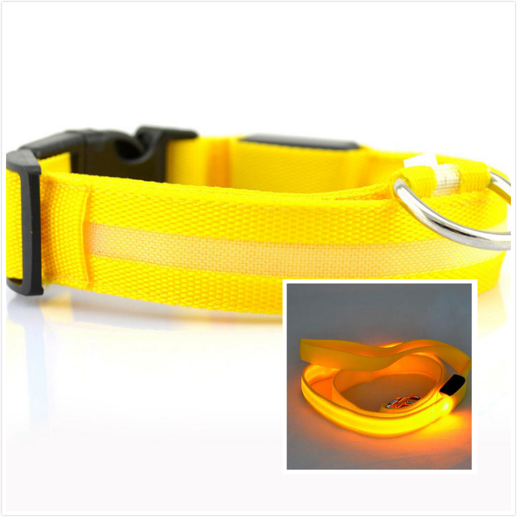 LED Luminous Collar