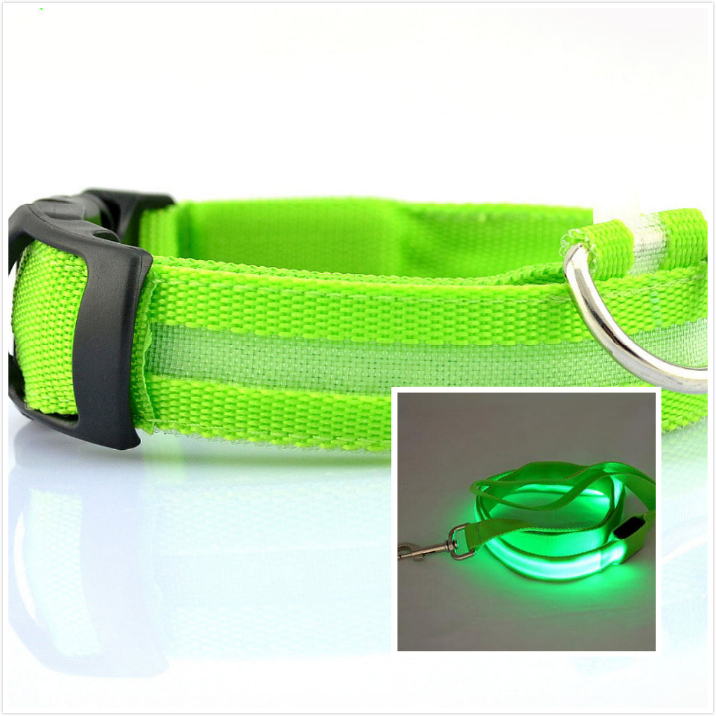 LED Luminous Collar