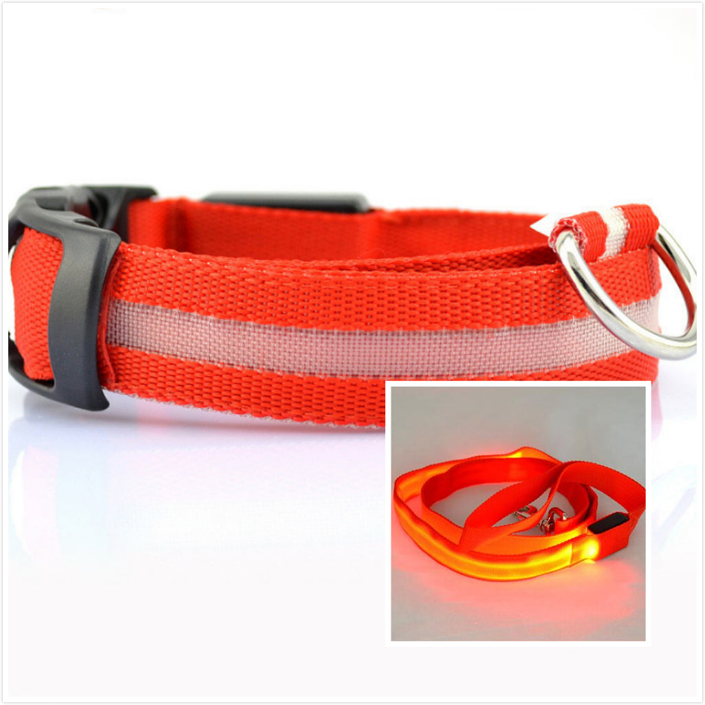 LED Luminous Collar