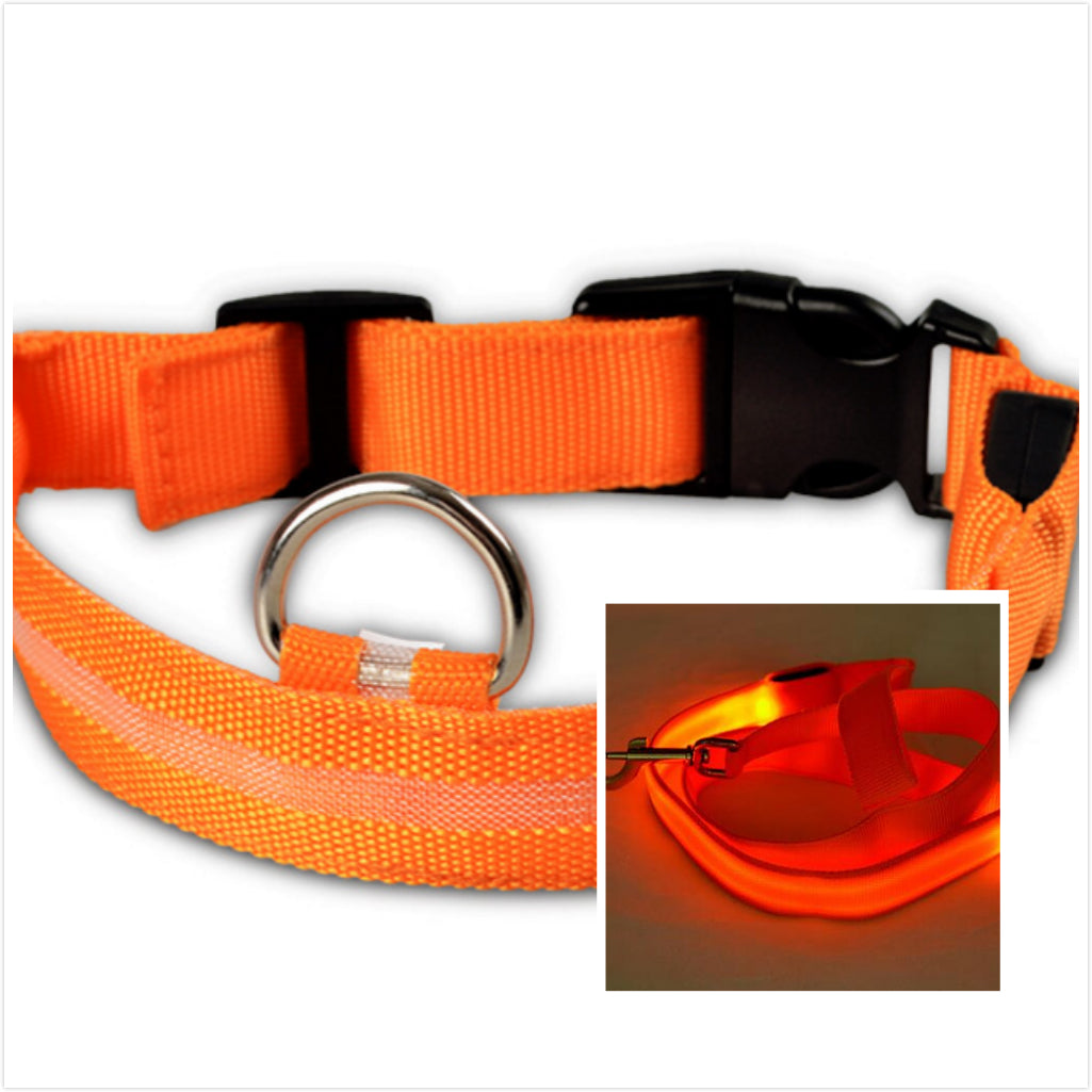 LED Luminous Collar